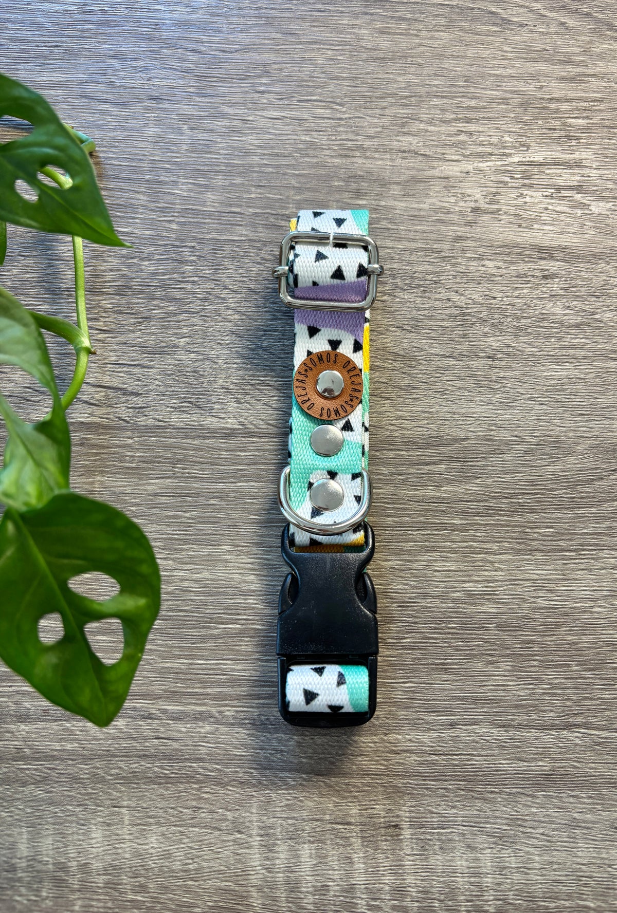 Combo Paseo: Pretal en H + Correa + Collar de Regalo 🐾💕
