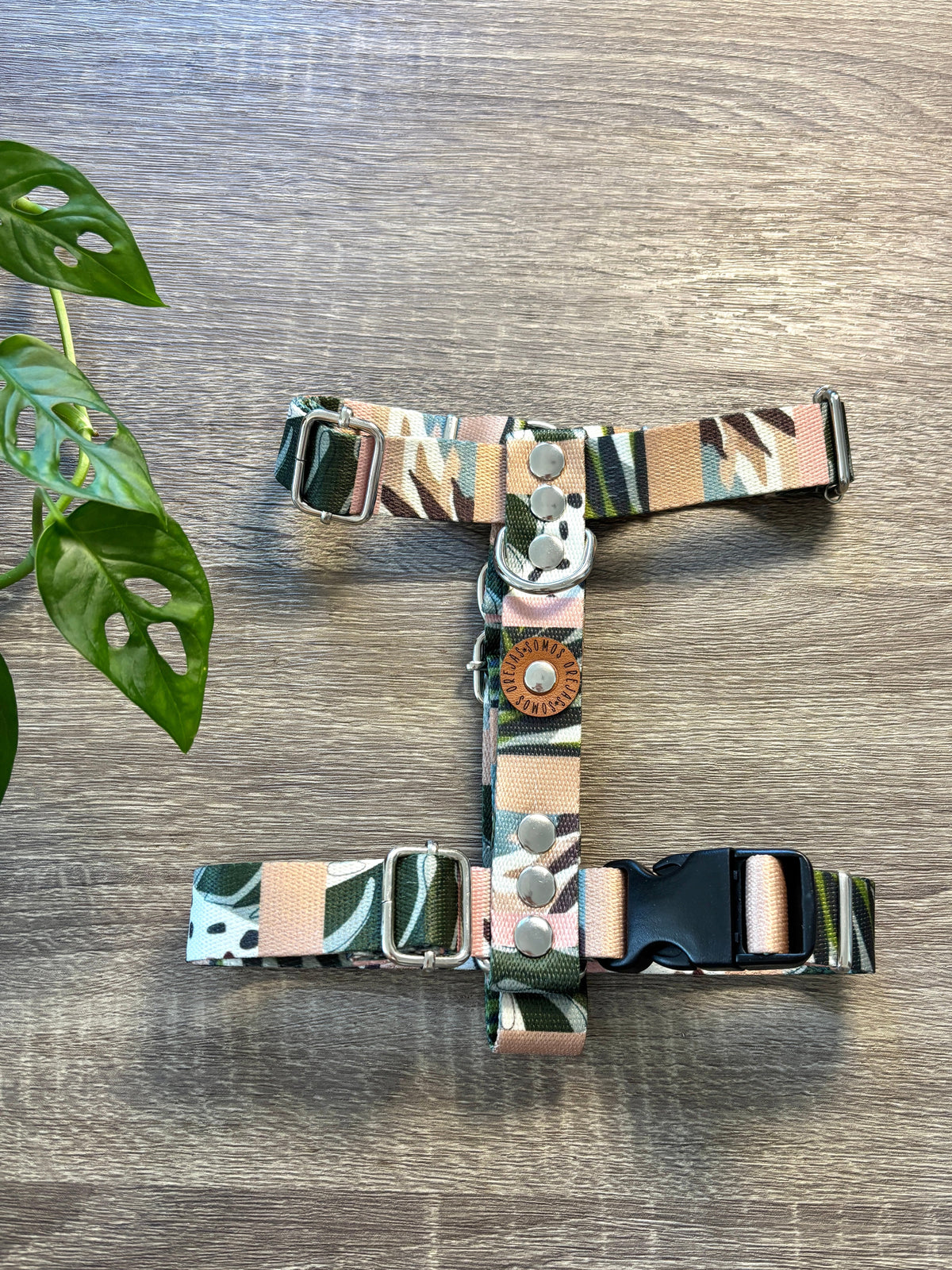 Combo Paseo: Pretal en H + Correa + Collar de Regalo 🐾💕