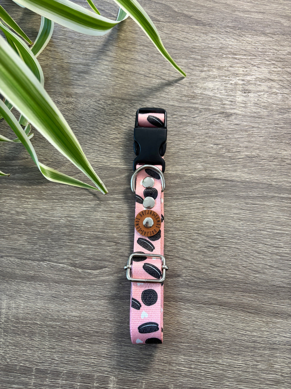 Combo Paseo: Pretal en H + Correa + Collar de Regalo 🐾💕