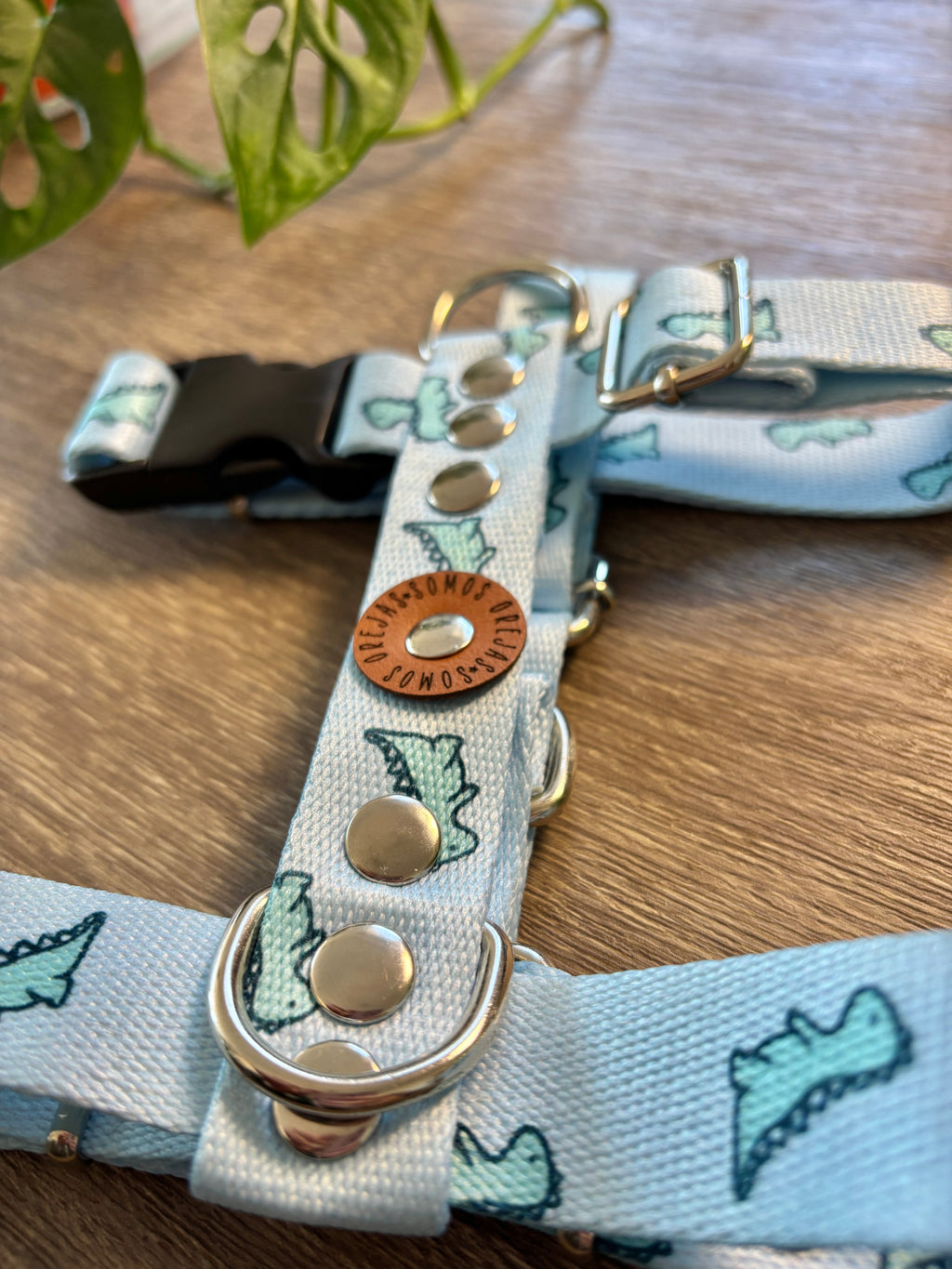 Combo Paseo: Pretal en H + Correa + Collar de Regalo 🐾💕