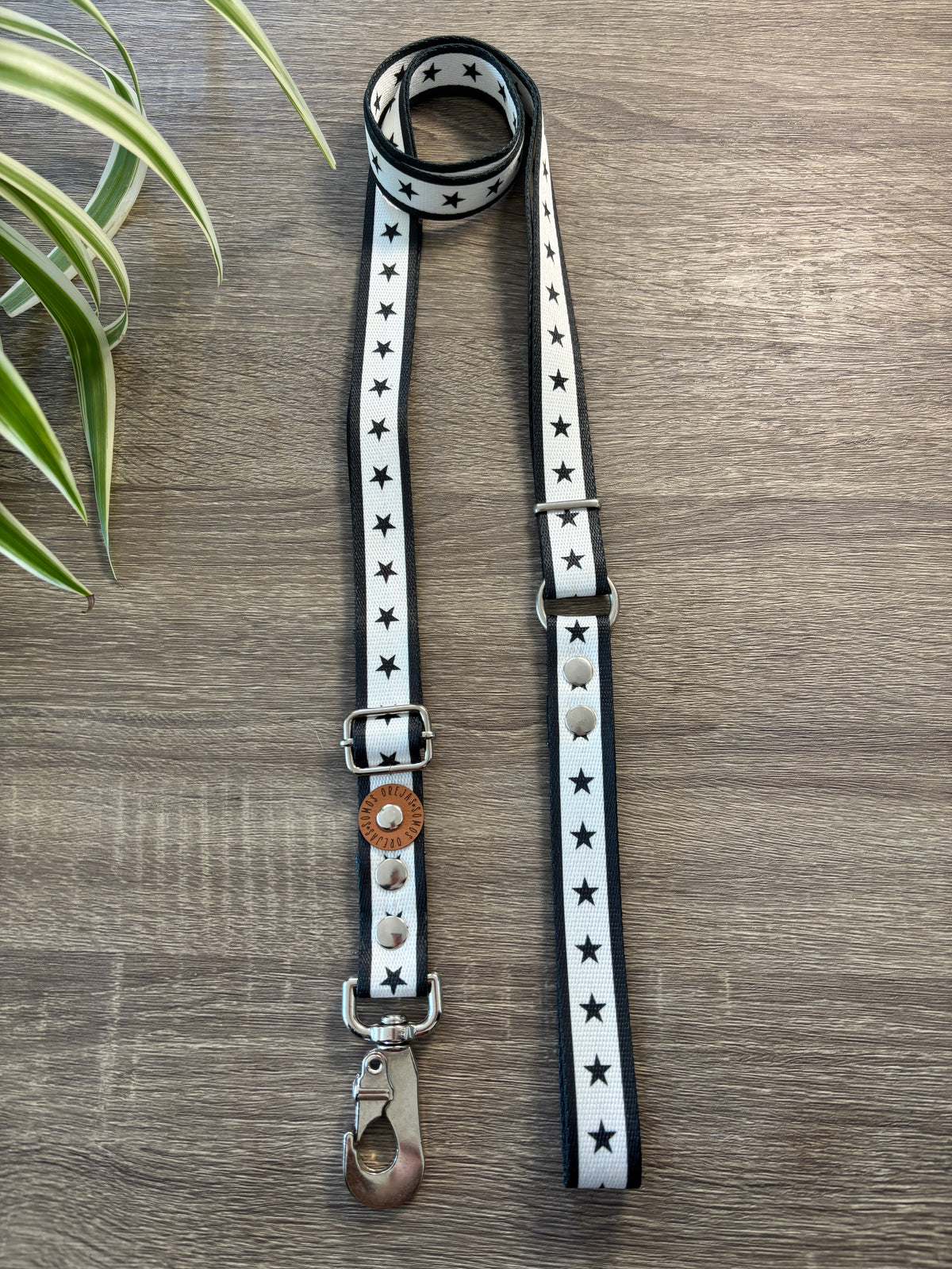 Combo Paseo: Pretal en H + Correa + Collar de Regalo 🐾💕