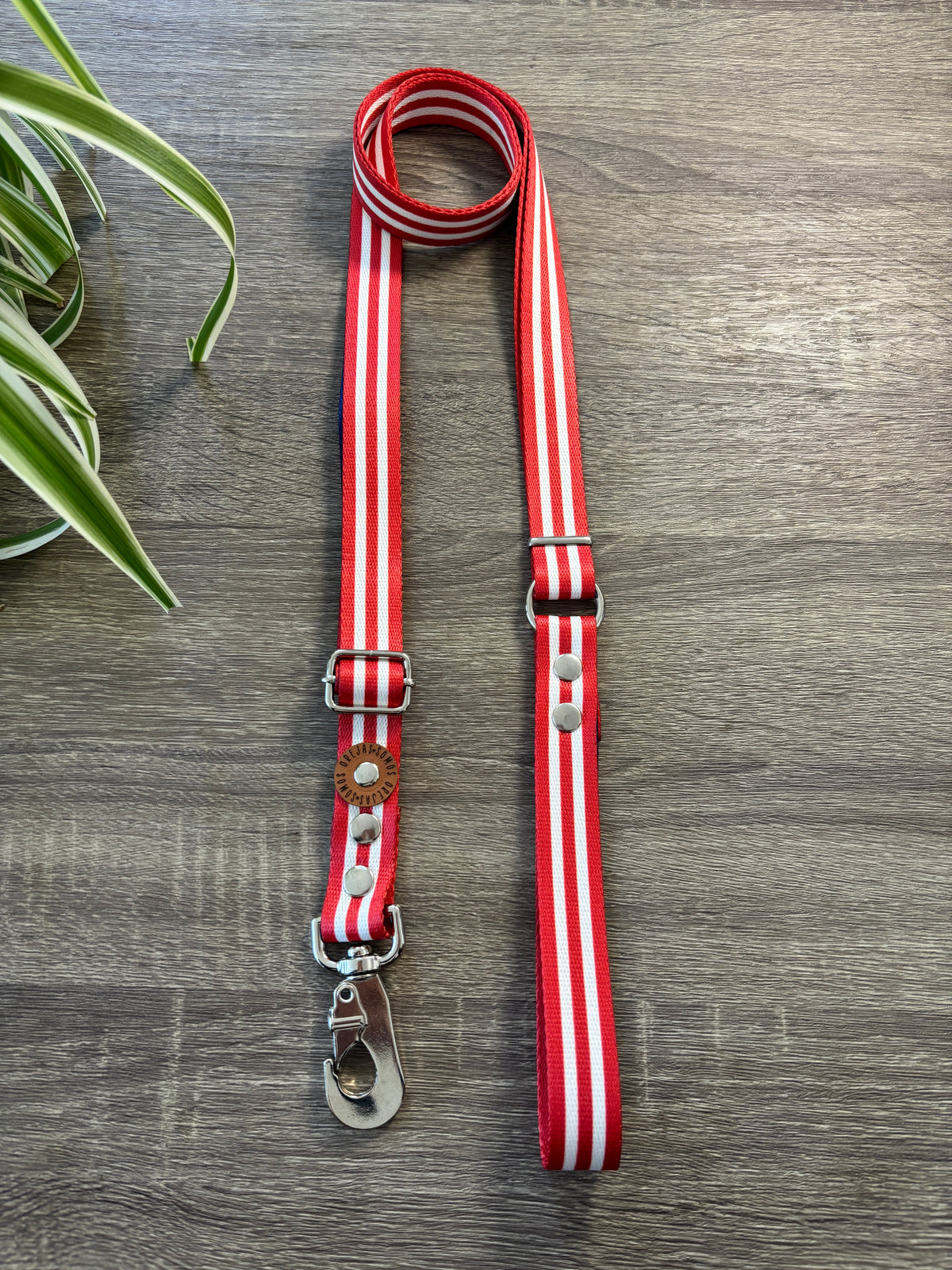Combo Paseo: Pretal en H + Correa + Collar de Regalo 🐾💕