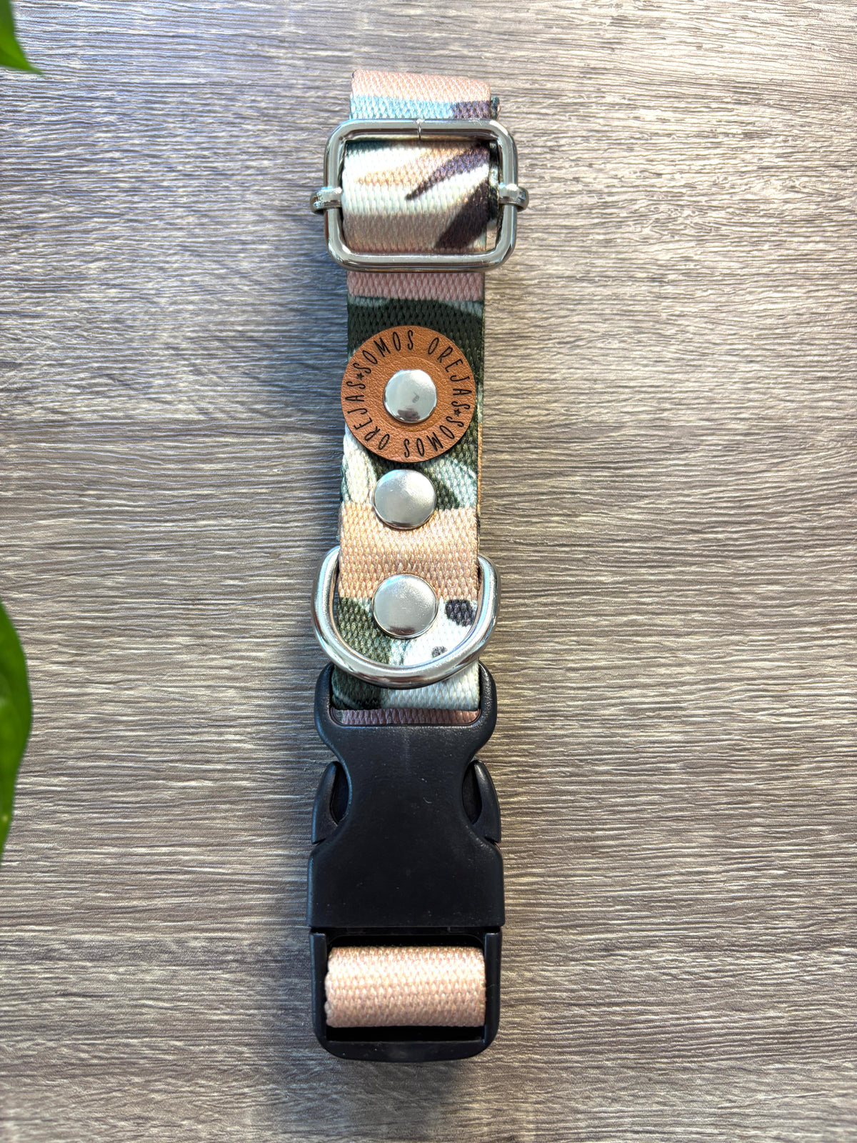 Combo Paseo: Pretal en H + Correa + Collar de Regalo 🐾💕