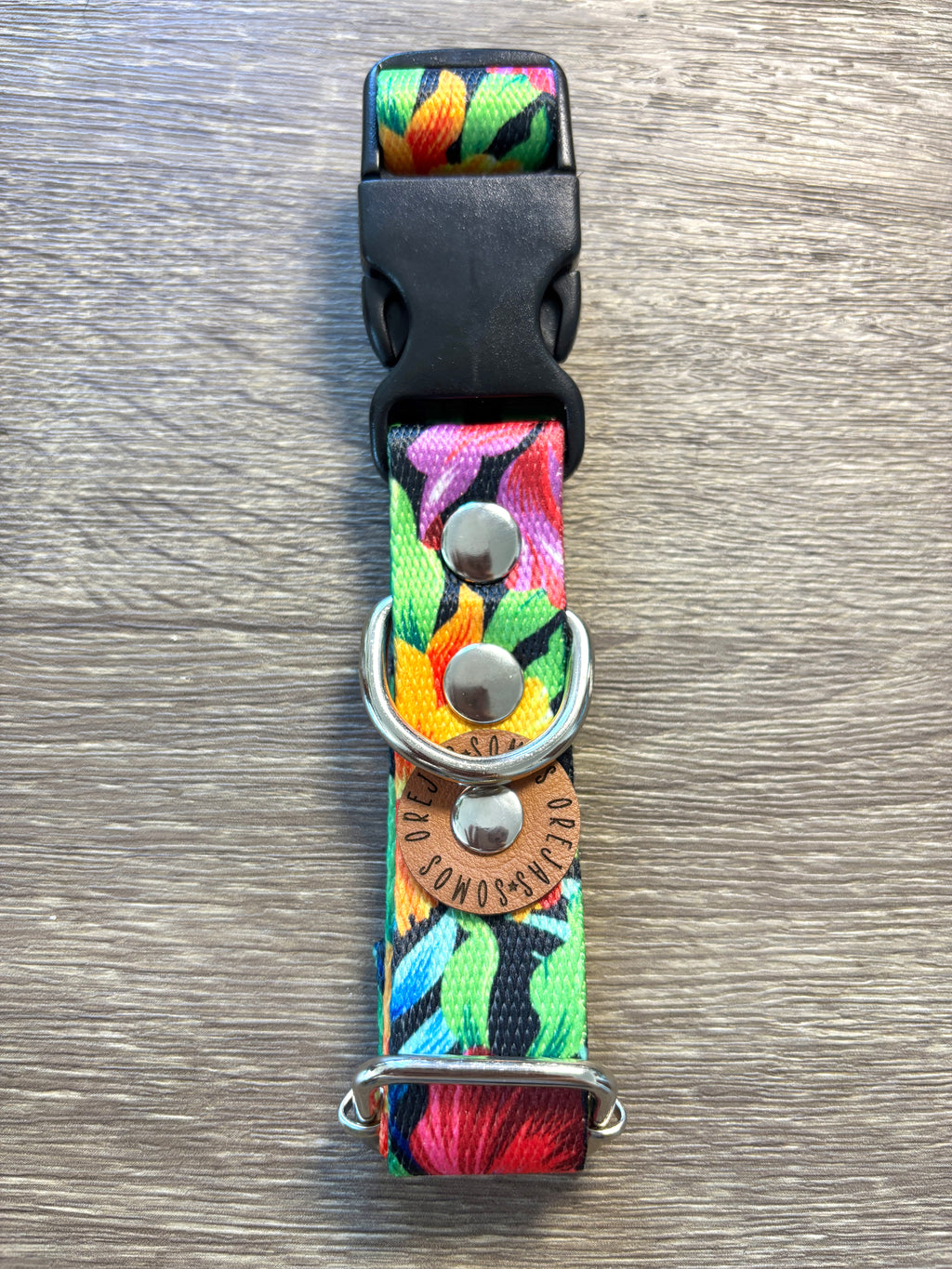 Combo Paseo: Pretal en H + Correa + Collar de Regalo 🐾💕