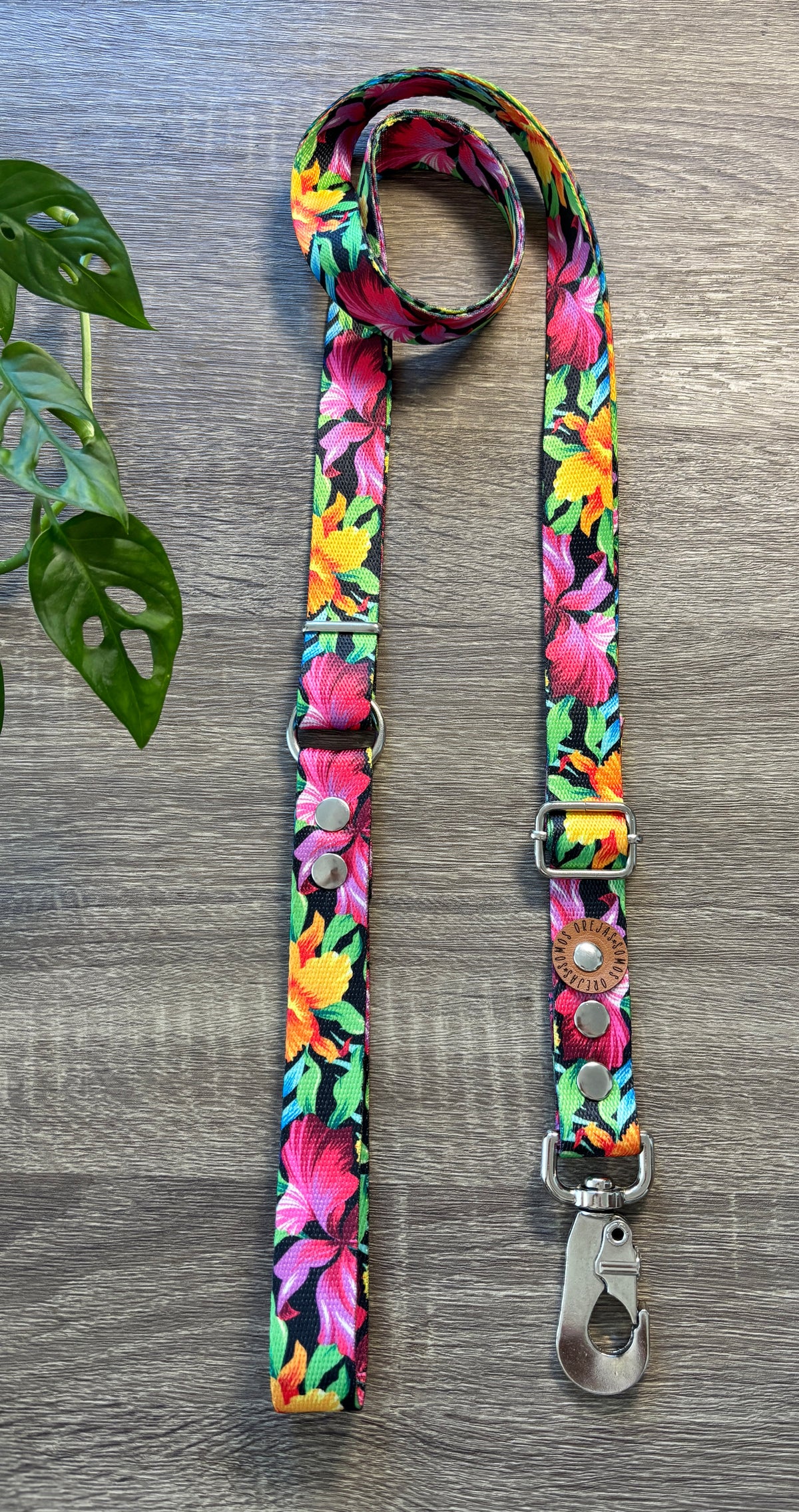 Combo Paseo: Pretal en H + Correa + Collar de Regalo 🐾💕