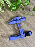 Combo Paseo: Pretal + Correa + Collar de regalo!