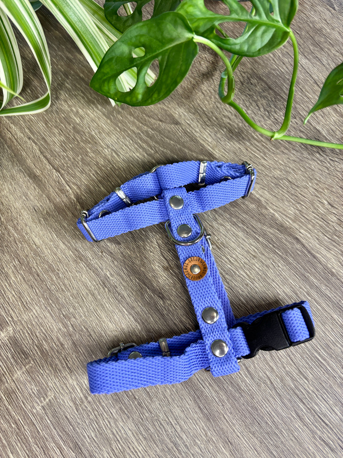 Combo Paseo: Pretal + Correa + Collar de regalo!