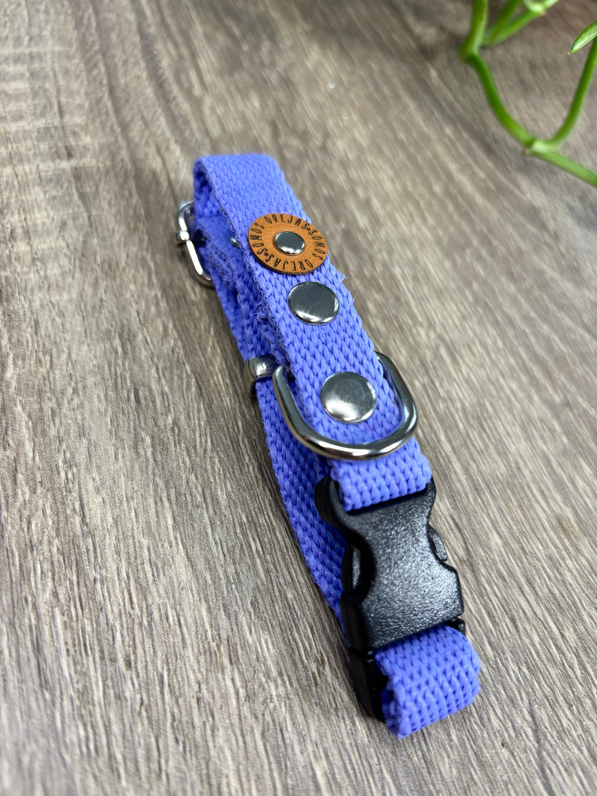Combo Paseo: Pretal + Correa + Collar de regalo!