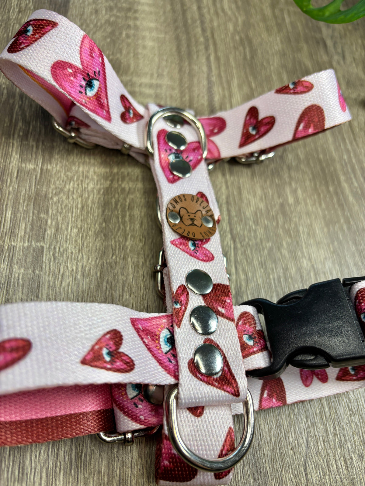 COMBO PASEO: Correa + Pretal + Collar