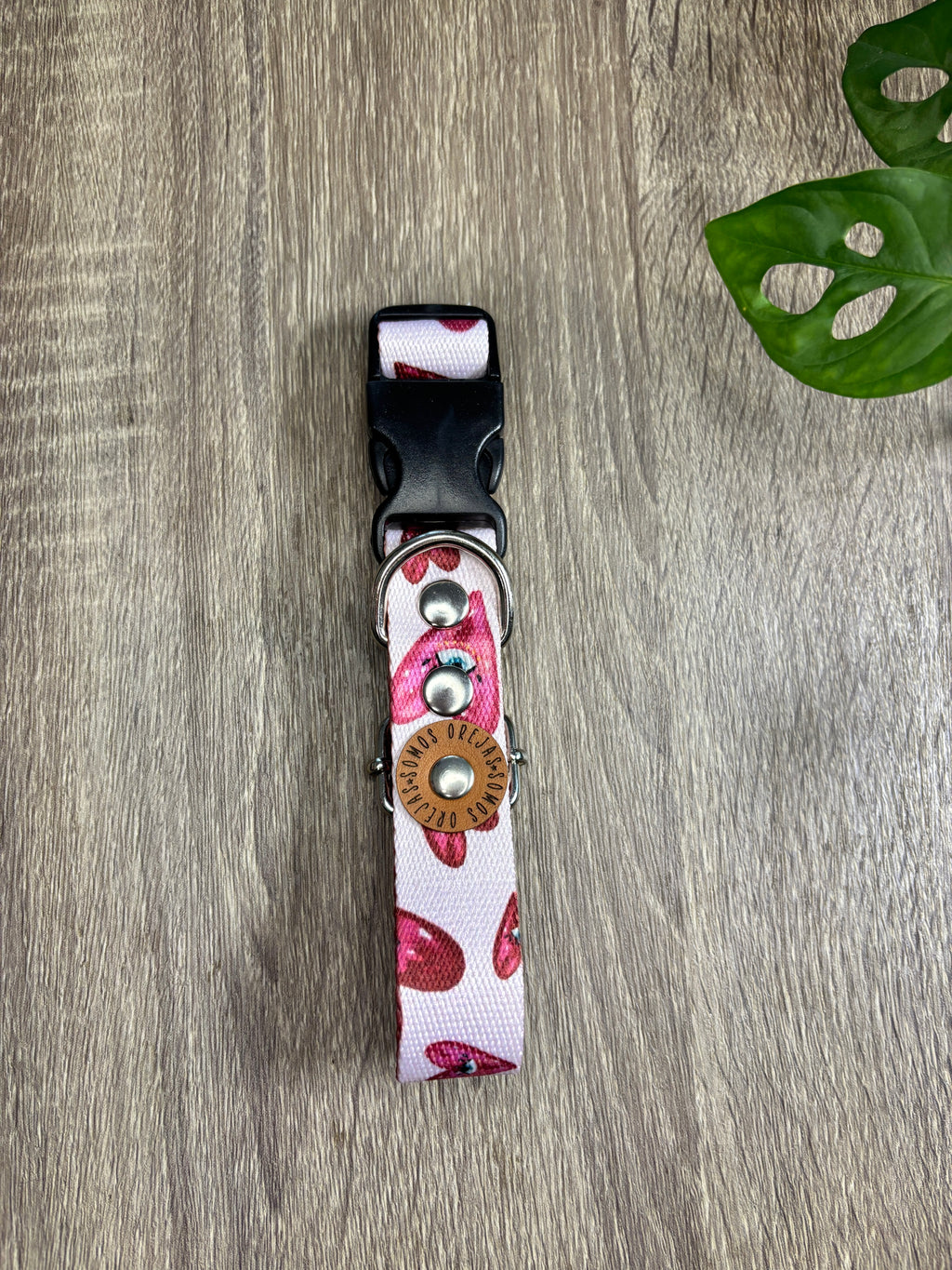 COMBO PASEO: Correa + Pretal + Collar