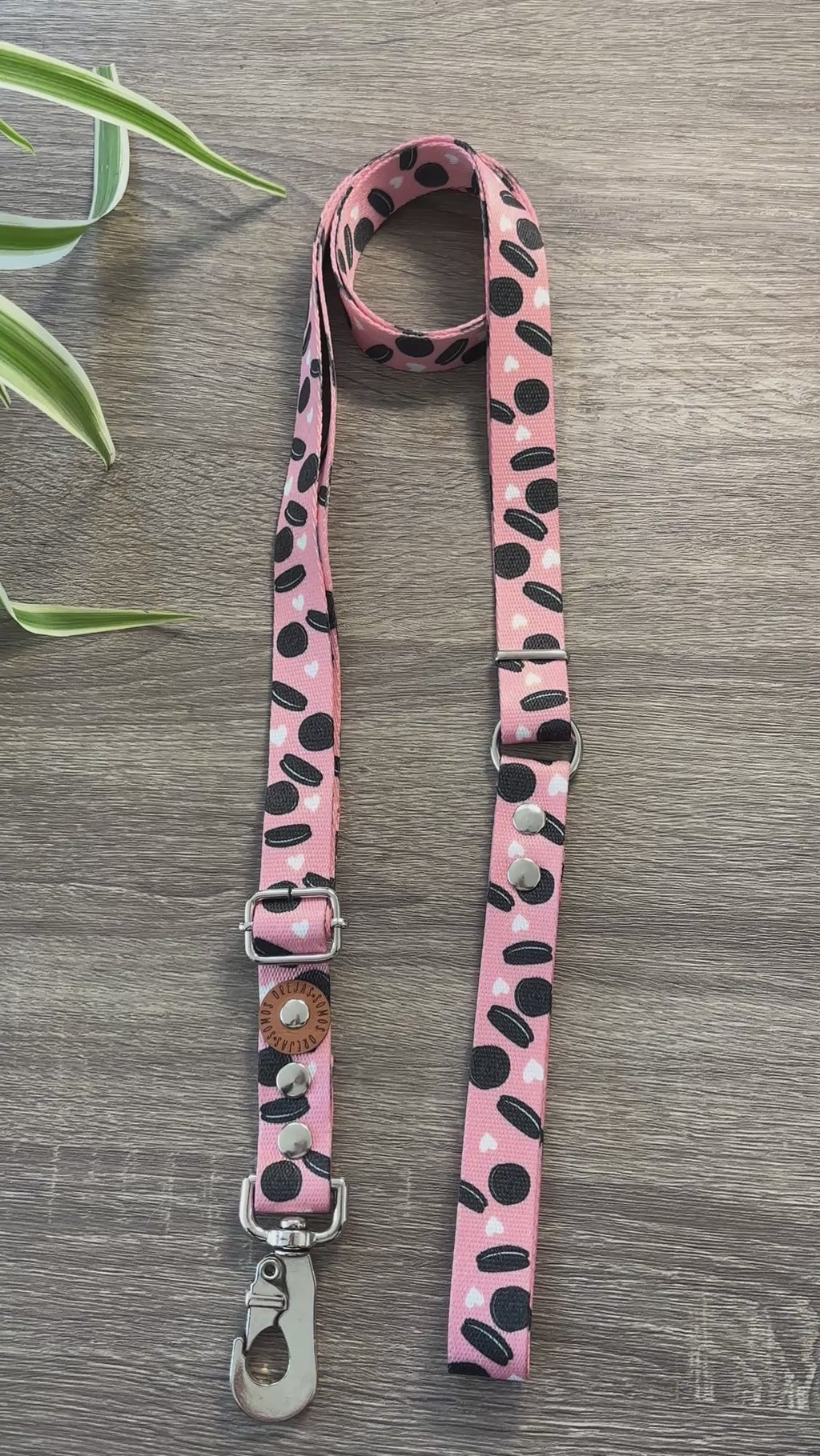 Combo Paseo: Pretal en H + Correa + Collar de Regalo 🐾💕