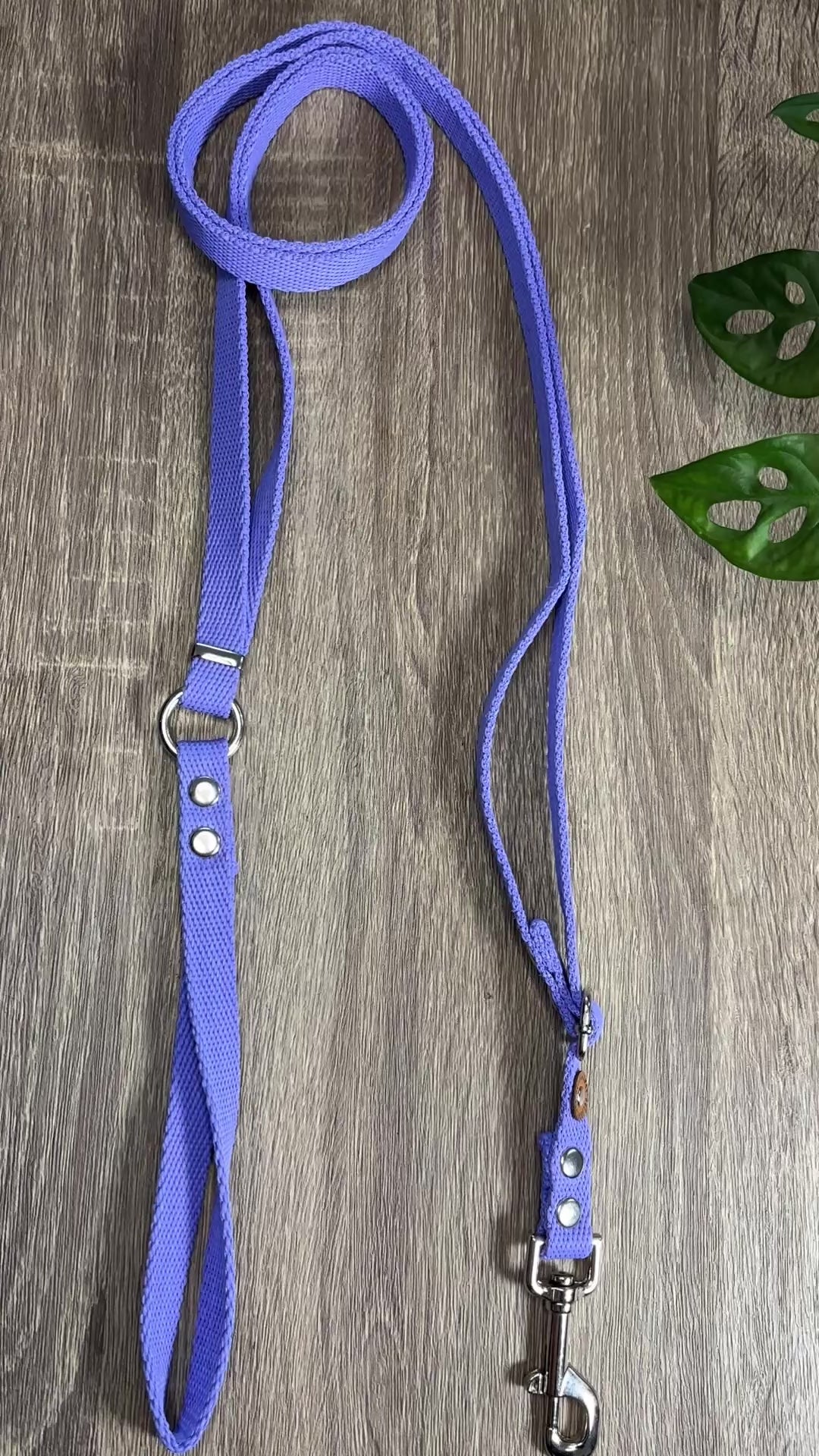 Combo Paseo: Pretal + Correa + Collar de regalo!