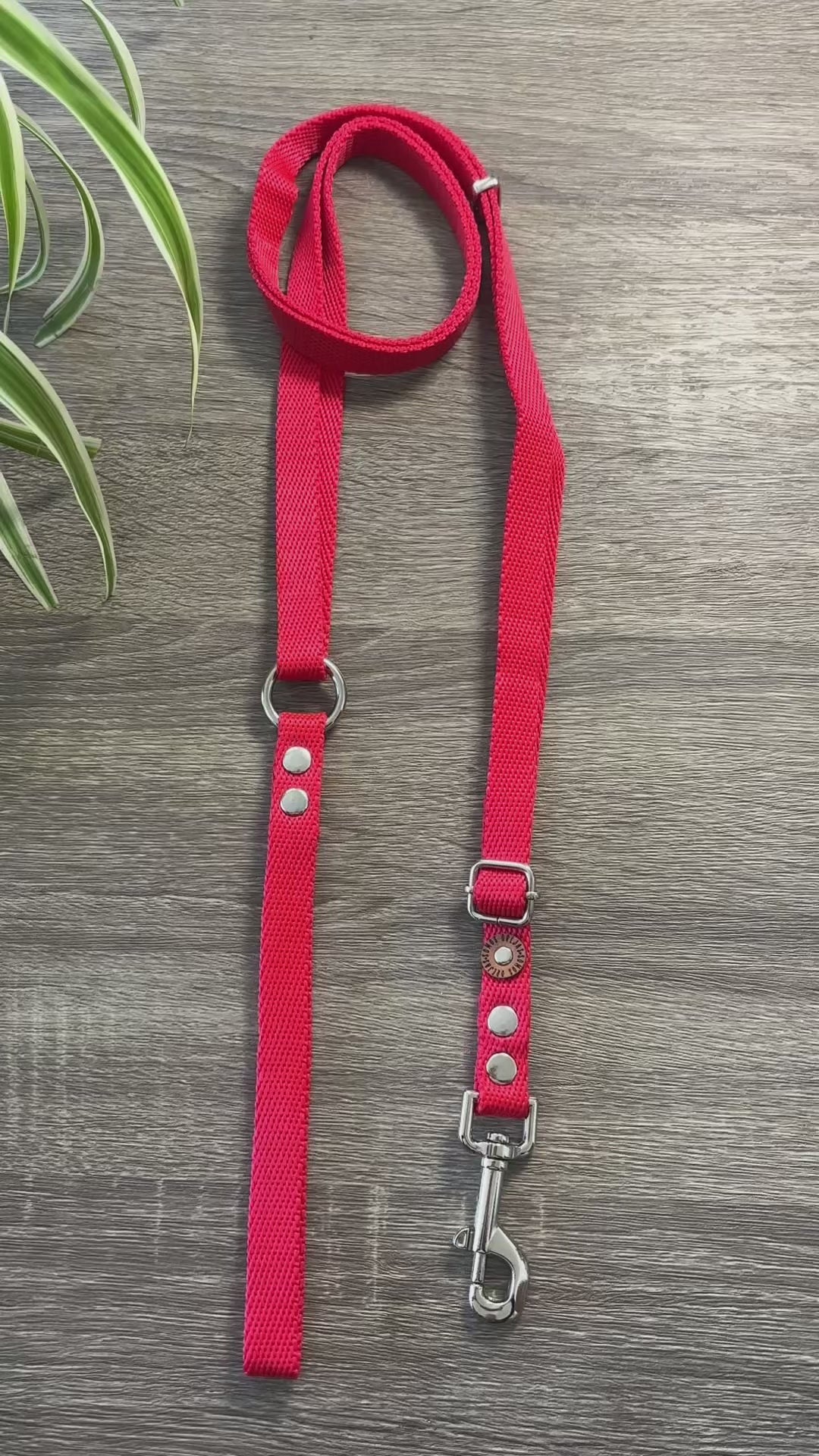 Combo Paseo: Pretal en H + Correa + Collar de Regalo 🐾💕
