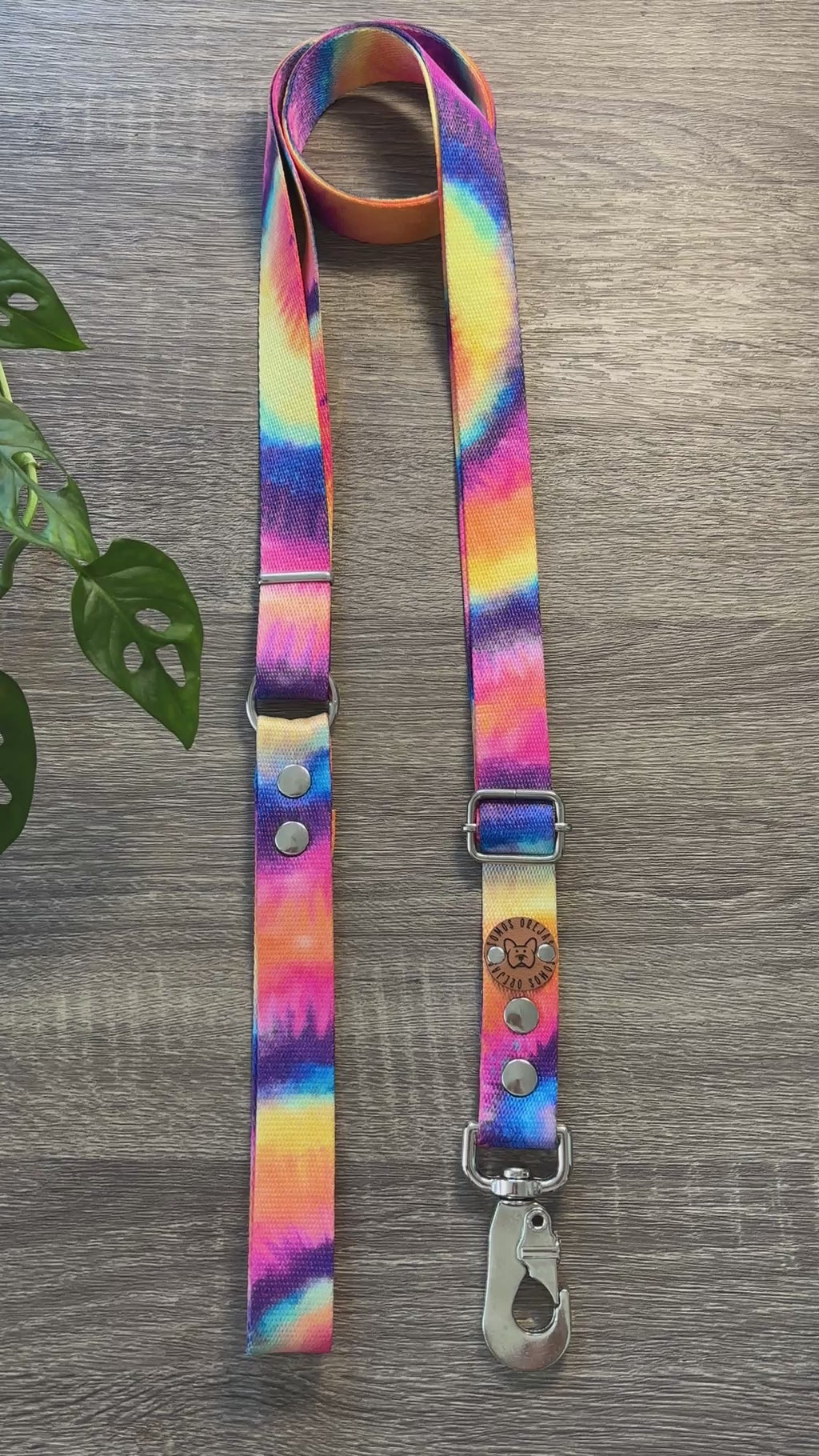 Combo Paseo: Pretal en H + Correa + Collar de Regalo 🐾💕