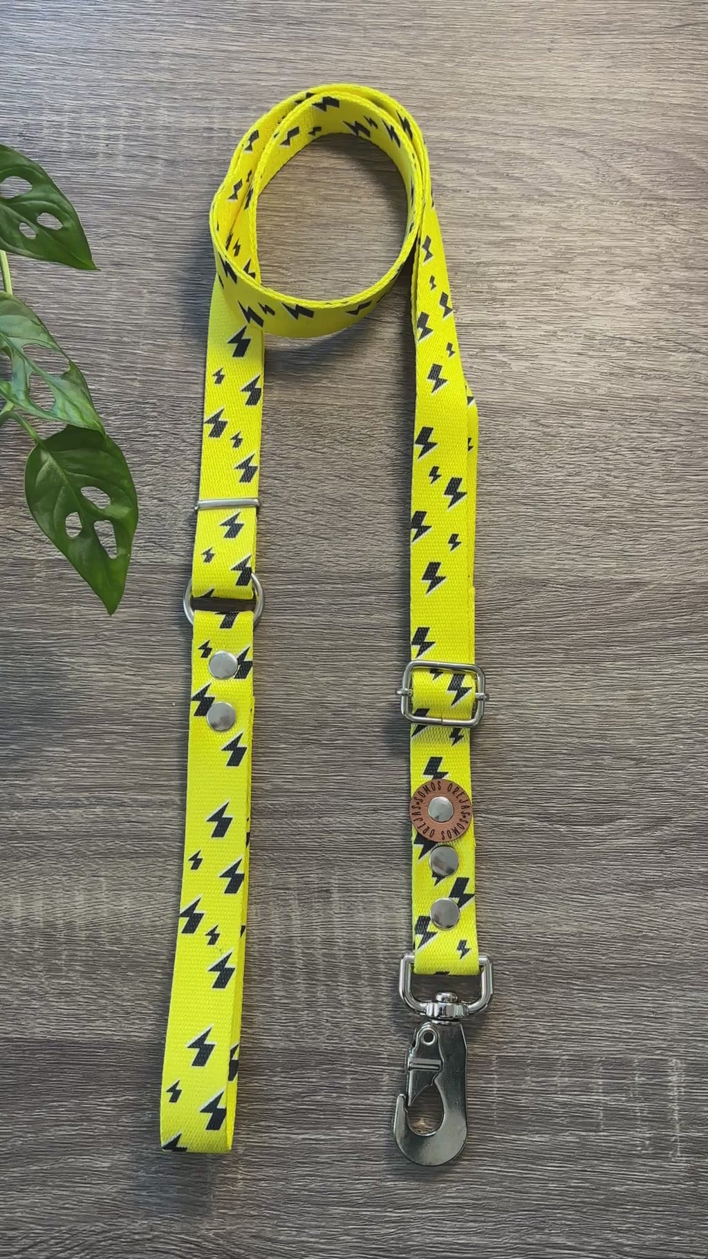 Combo Paseo: Pretal en H + Correa + Collar de Regalo 🐾💕