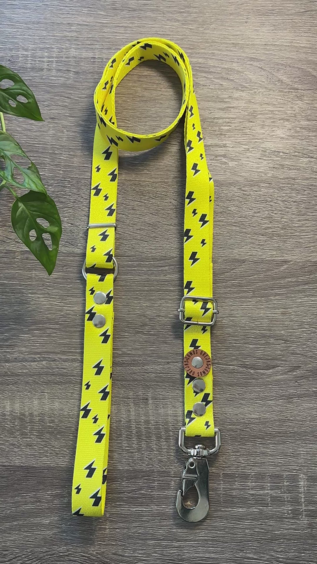Combo Paseo: Pretal en H + Correa + Collar de Regalo 🐾💕