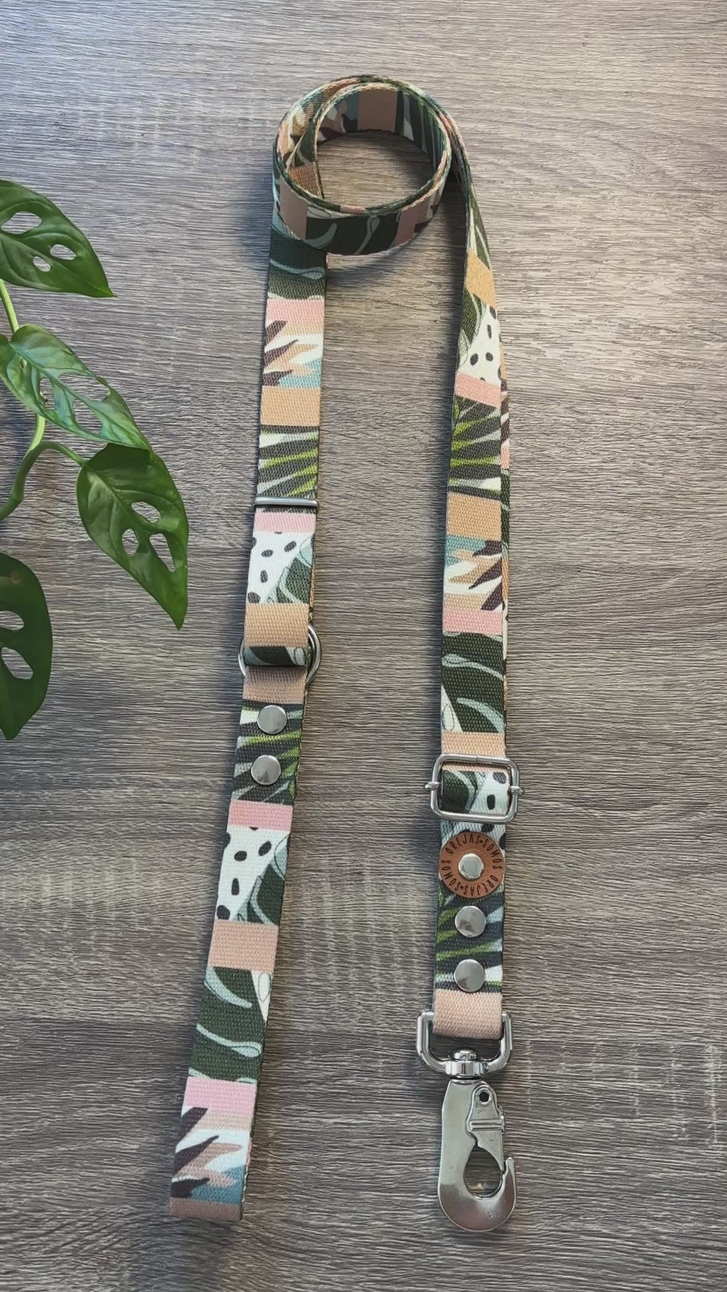 Combo Paseo: Pretal en H + Correa + Collar de Regalo 🐾💕