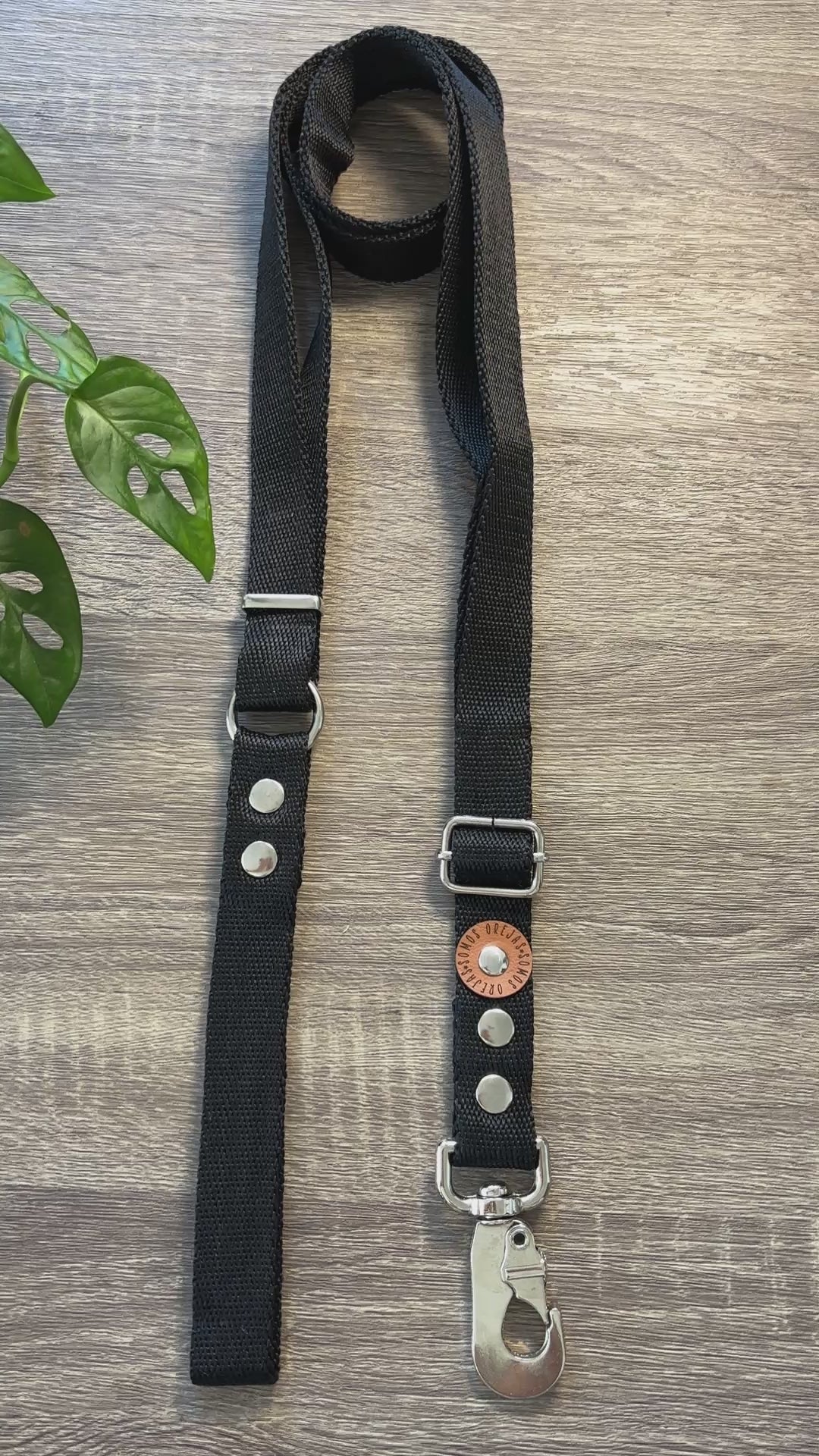 Combo Paseo: Pretal en H + Correa + Collar de Regalo 🐾💕