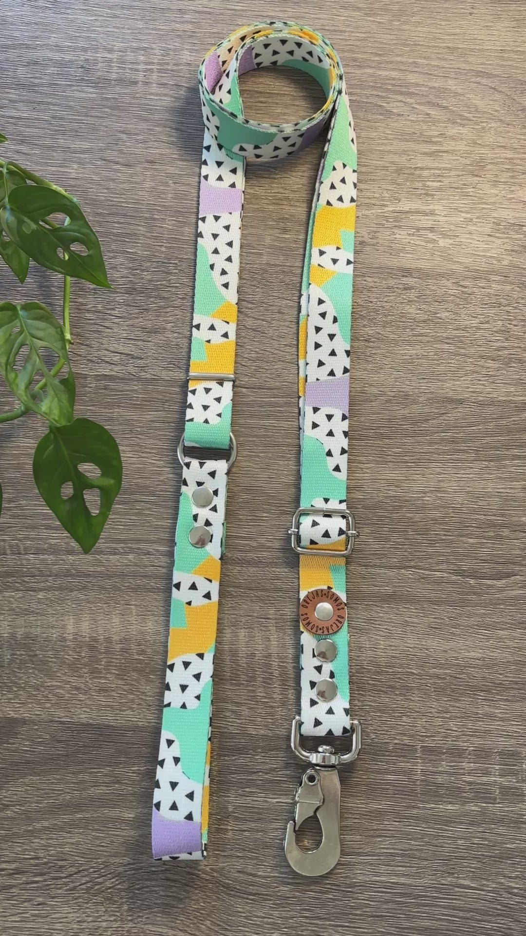 Combo Paseo: Pretal en H + Correa + Collar de Regalo 🐾💕
